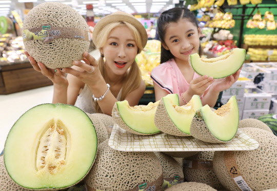 이마트가 13일부터 전 점에서 국내산 머스크 메론을 4980원에 할인 판매한다. 이번에 선보이는 머스크 메론은 수분 함량이 많고 식감이 부드러워 남녀노소에게 인기있다. 12일 이마트 용산점에서 모델들이  머스크 메론을 선보이고 있다. <이마트 제공>